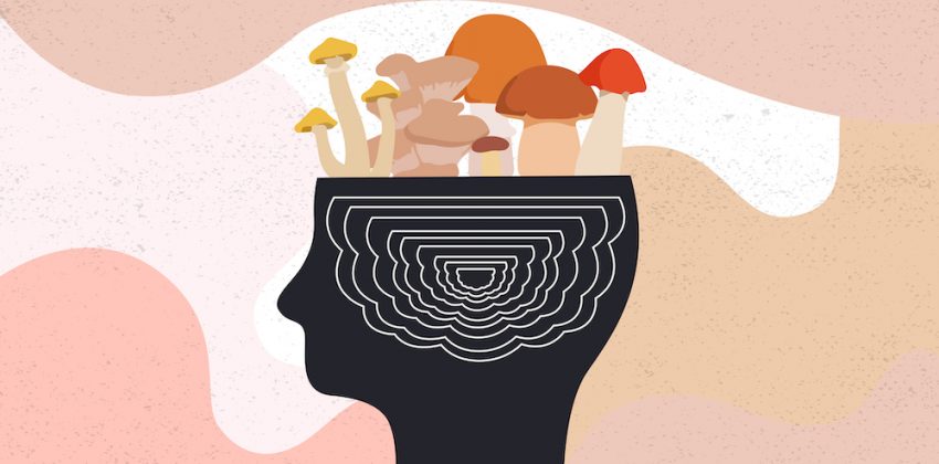 What I Learned While Working To Decriminalize Psilocybin In California ...