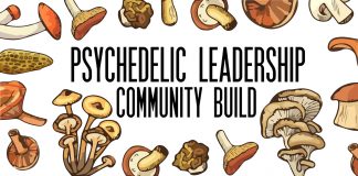 Psychedelic Leadership Community Build at Psychedelic Liberty Summit