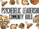 Psychedelic Leadership Community Build at Psychedelic Liberty Summit