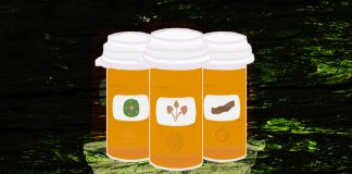 What Do Psychedelic Medicine Companies Owe to the Community?