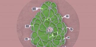 Colonial Shadows in the Psychedelic Renaissance