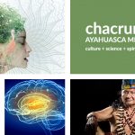 Ayahuasca