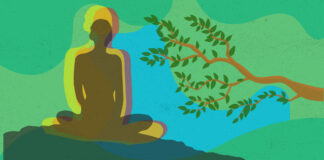 Is Ayahuasca Cultural Heritage of Brazil?