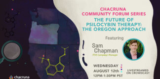 The Future of Psilocybin Therapy: The Oregon Approach