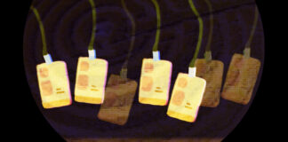 Profitdelic: A New Psychedelic Conference Trend