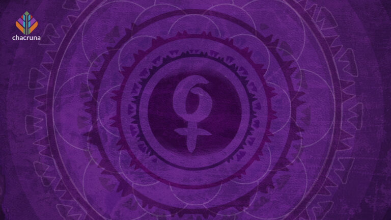 women in the history psychedelic plant medicines