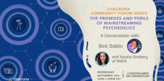 The Promises and Perils of Mainstreaming Psychedelics
