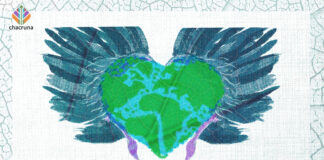 A Collective Call for Accountability in Plant Medicine Experiences