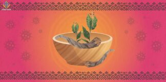 Coronavirus and Evolving Ceremonial Practice Among Ayahuasca Practitioners in the US