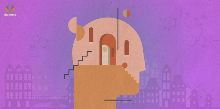 A depiction of a human mind with doors and stairs leading to it.