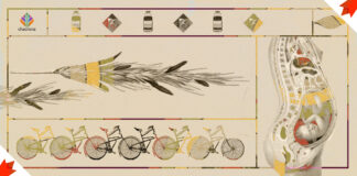 Ergot in Canada: A Lost Tradition? Ergot in Canada