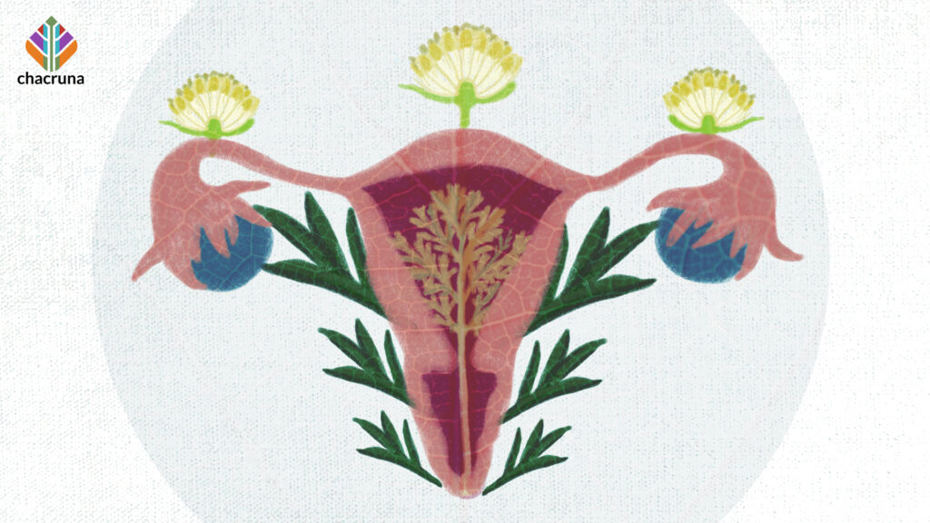A uterus with plants growing amongst it representing medicinal abortion in Mexican history