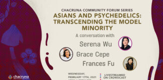 Asians and Psychedelics: Transcending the Model Minority