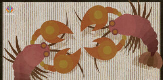 Mescaline Scribe Two lobsters representing Beauvoir and Sartre and their mescaline experiments