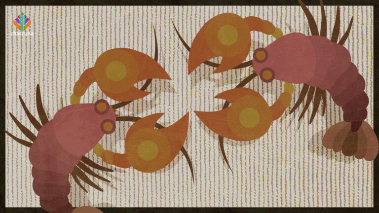 Two lobsters representing Beauvoir and Sartre and their mescaline experiments