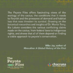Blurbs