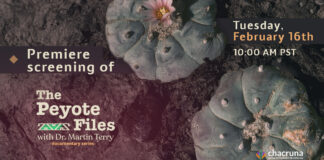 Film Screening: The Peyote Files With Dr. Martin Terry
