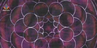 Celebrating 25 Weeks of ‘Women in the History of Psychedelic Plant Medicines’