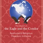 Eagle and Condor Graphic