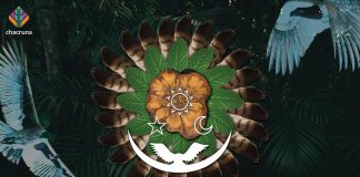 Fighting for the Legal Use of Ayahuasca as a Religious Sacrament with Martha Hartney