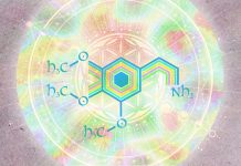 A Century of Mescaline