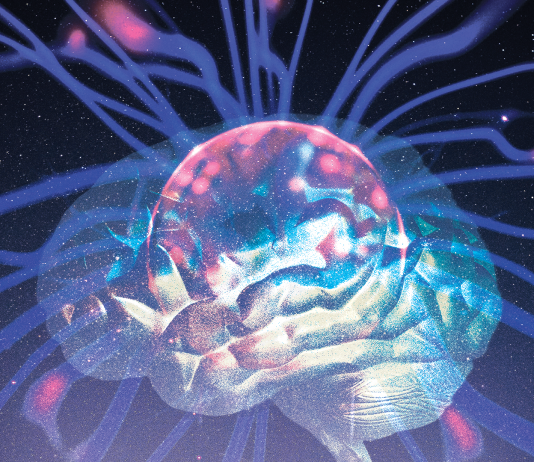 When Ayahuasca Microdosing Might Cause Serotonin Toxicity