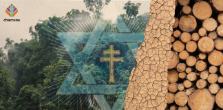 Controversies on the Environmental Legislation on Ayahuasca in Brazil