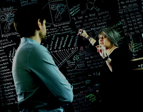 Gül Dölen writes equation on a blackboard, speaking to a white male student