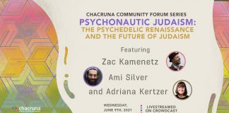 Psychonautic Judaism: The Psychedelic Renaissance and the Future of Judaism