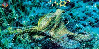 How MDMA, Octopuses, and Gül Dölen Reopen Minds