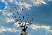 Peyote Conservation & the Decriminalization Movement: Navigating the Complexity