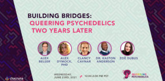 Building Bridges: Queering Psychedelics Two Years Later