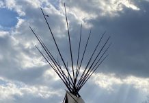 Open Letter to the Psychedelic Movement Regarding Peyote in Policy Efforts and How to be an Ally to Indigenous Peoples of North America