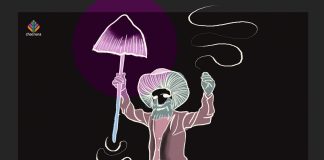 Who’s in Charge of Psilocybin?