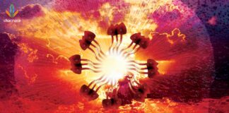 Terminally Ill Patients Sue DEA for Psilocybin Treatment Under Right to Try Act