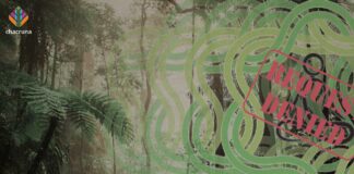 DEA Denies Soul Quest’s Religious Exemption: Impacts on the Ayahuasca Community