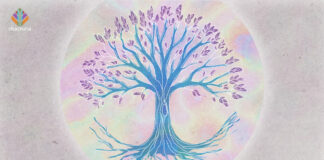 Chelsea Osmond: Linking the Past and Future of the Psychedelic Renaissance Tree representing the Osmond family