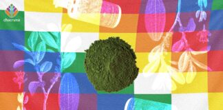 Can Coca Leaf Avoid the Wrongs of The Psychedelic Revolution?