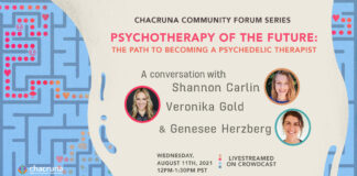 Psychotherapy of the Future: The Path to Becoming a Psychedelic Therapist
