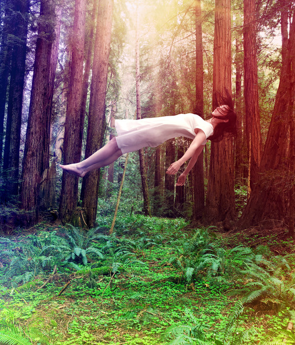 A woman in a white dress is floating on her back in a forest, she is rising upwards toward some light, representing the experience of psychedelic assisted death