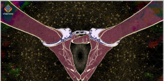 LSD in the House, Cops at the Door: A Psycholytic Therapist Reflects on Her Darkest Moment Psycholytic therapists are still reprimanded by society