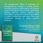Book-Quote-_Fernanda_Palhano_-1