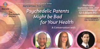 Psychedelic Patents May be Bad for Your Health