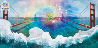 Press Release – Chacruna Institute to host community conversation about CA SB 519