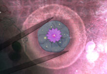 Could Synthetic Mescaline Protect Declining Peyote Populations?