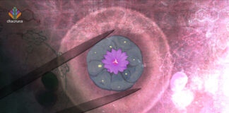 Could Synthetic Mescaline Protect Declining Peyote Populations?