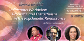Indigenous Worldview, Property and Extractivism in the Psychedelic Renaissance