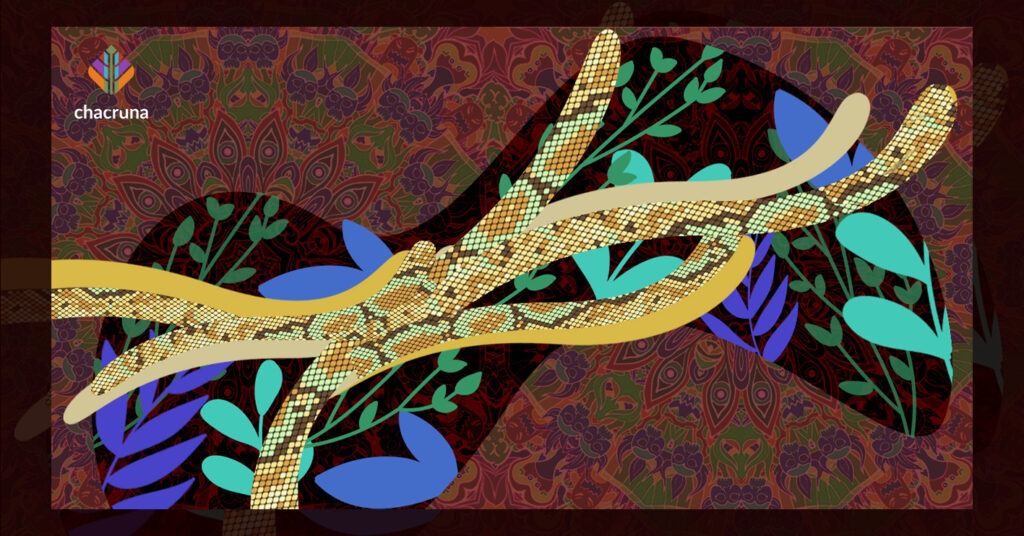Wilma Mahua Campos has been learning the skills of ayahuasca healing since she was a young girl.