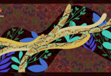 Wilma Mahua Campos, Shipibo Ayahuasquera Wilma Mahua Campos has been learning the skills of ayahuasca healing since she was a young girl.