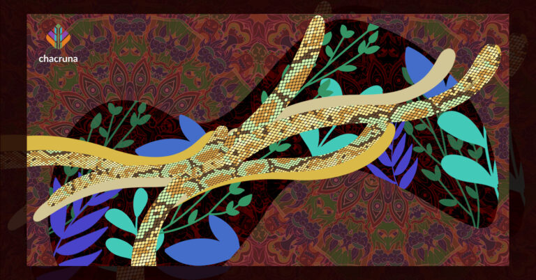 Wilma Mahua Campos has been learning the skills of ayahuasca healing since she was a young girl.